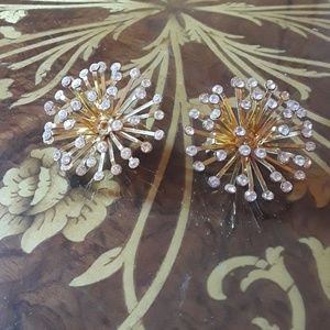 Rhinestones earing
